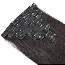 Natural Raw Indian Clip-Ins
